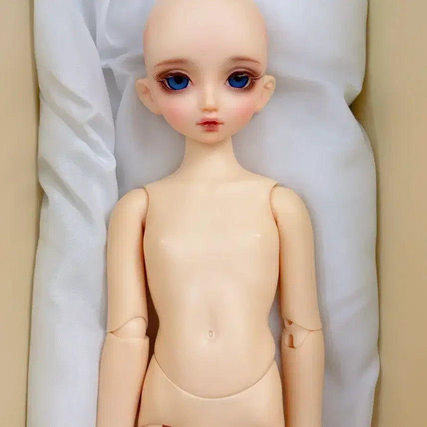 [BUNJANG] Volks SDM Noah (Normal) Doll Body / 보크스 SDM 노아(노멀)