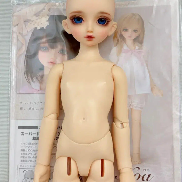 [BUNJANG] Volks SDM Noah (Normal) Doll Body / 보크스 SDM 노아(노멀)