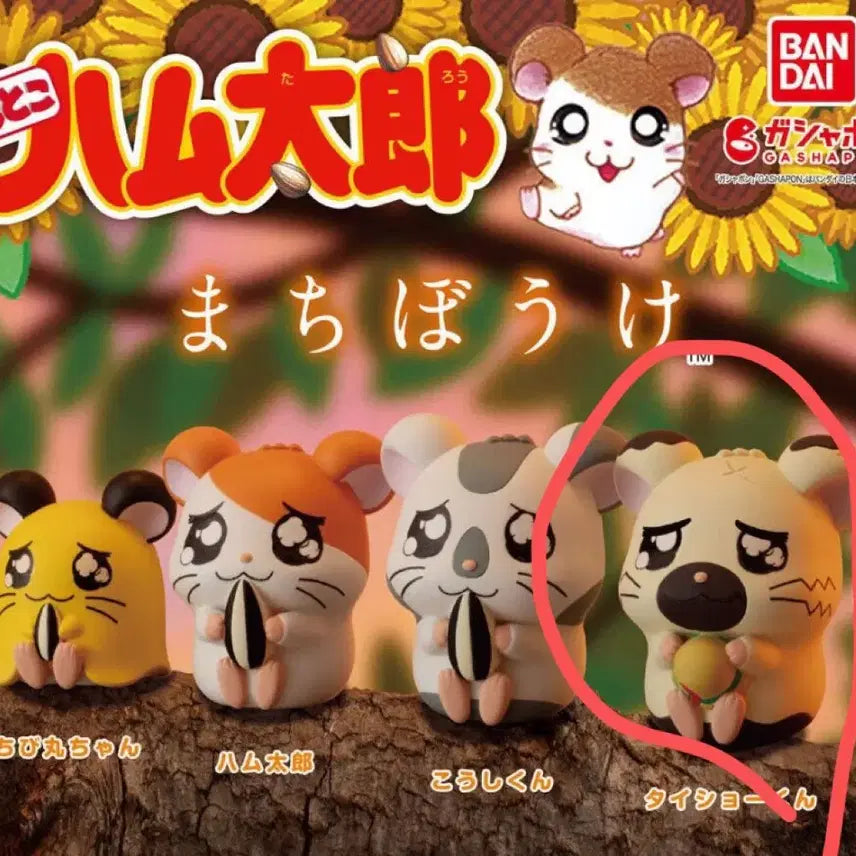 [BUNJANG] Hamutori Machiboke Gacha Sealed / 햄토리 마치보케 가챠 미개봉