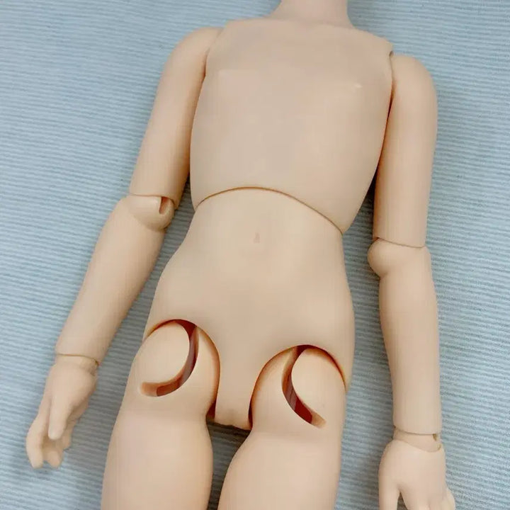 [BUNJANG] Volks MSD Tophy Body / 보크스 MSD 토피(톳피)바디