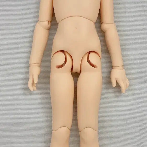 [BUNJANG] Volks MSD Tophy Body / 보크스 MSD 토피(톳피)바디