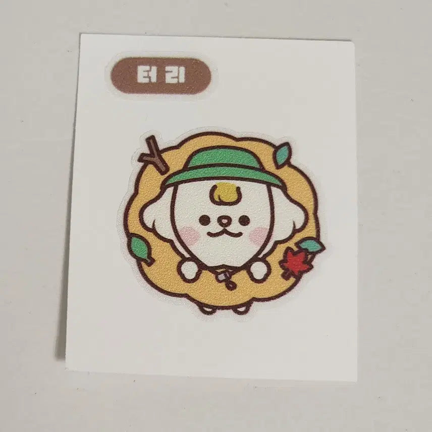 [BUNJANG] CRAVITY Hyungjun TERRY Autumn Sticker / 크래비티 형준 터리 어텀 띠부씰 스티커