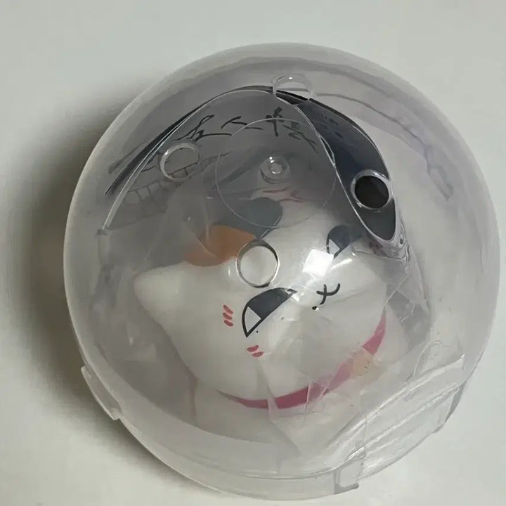 [BUNJANG] Natsume&