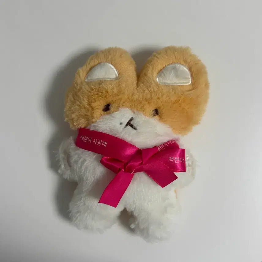 [BUNJANG] Fluffy Magnet: You Must Protect Me / 터래기 마그넷 너가나를지켜야해