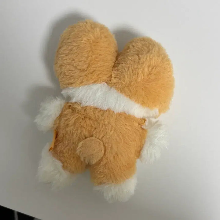 [BUNJANG] Fluffy Magnet: You Must Protect Me / 백현 터래기 마그넷 너가나를지켜야해