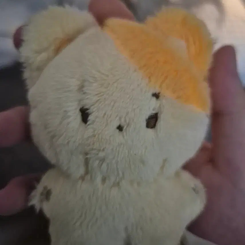 [BUNJANG] Sung Ho Neck Pillow / 솜넥도 성호 판매합니다