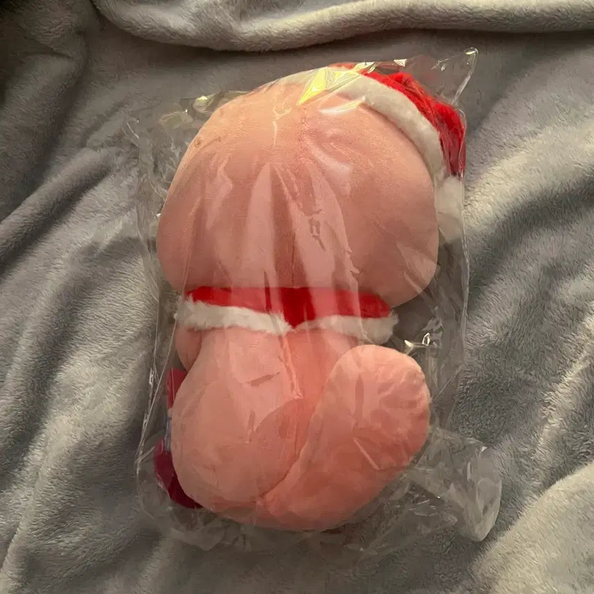 [BUNJANG] Official Zanmang Loopy Santa Doll / 잔망루피 정품 산타 인형