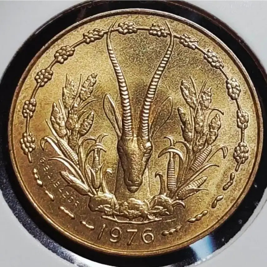 [BUNJANG] West African States 1976 10 Francs Uncirculated Foreign Coin / 극희귀 서아프리카연합 미사용 1976년 10프랑.외국주화 주화 화폐 동전