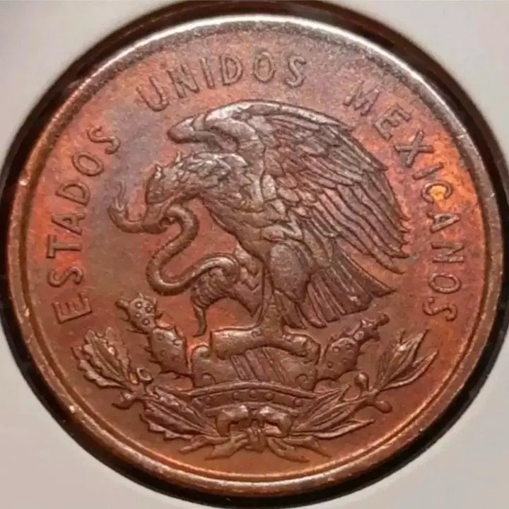 [BUNJANG] Mexico 1959 10 Centavos Unused Foreign Coin / 멕시코 미사용 1959년 10센타보스.외국주화 주화 화폐 동전