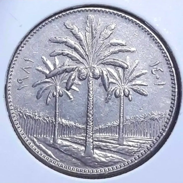 [BUNJANG] Iraq 1970 50 Fils Foreign Coin / 이라크 1970년 50필즈.외국주화 주화 화폐 동전