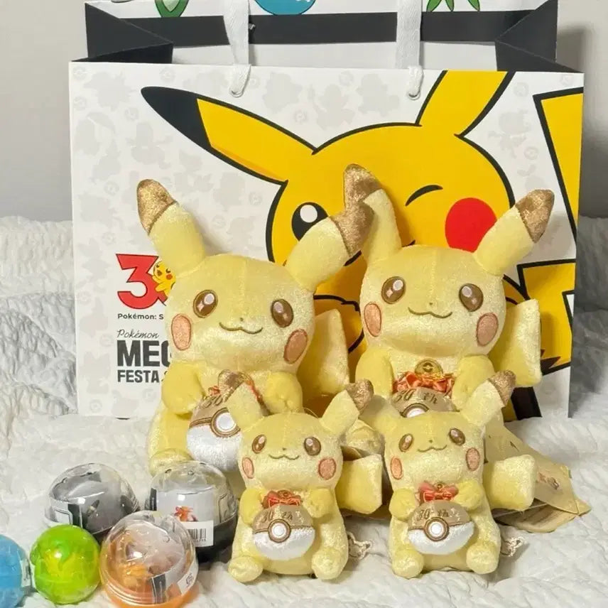 [BUNJANG] Pokemon 30th Anniversary Pikachu Plush &amp; Keychain Set / (새상품)포켓몬스터 30주년 피카츄 키링+인형 세트