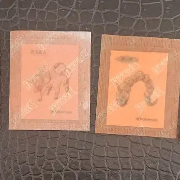 [BUNJANG] Pokemon Sticker Bundle - Pidgeotto, Vileplume, Tauros, Geodude, Golem, Butterfree / 포켓몬 띠부실 일괄 판매