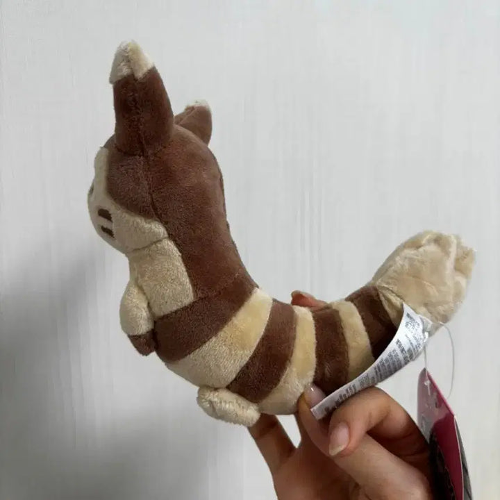 [BUNJANG] Pokemon Fit Torkoal Plush / 포켓몬 fit 다꼬리