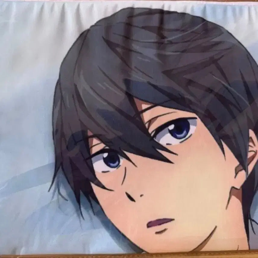 [BUNJANG] Free! Haruka Dakimakura Pillow Cover (Sealed) / 프리 free! 하루카 다키마쿠라 베개 커버 미개봉