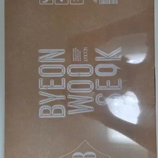 [BUNJANG] Byeon Woo Seok Dicon Type B / 변우석 디아이콘 B타입