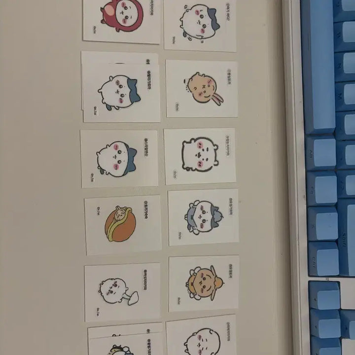 [BUNJANG] Cheekawaii Secret Retro Sticker / 먼작귀 시크릿 레트로 스티커(치이카와 스티커)