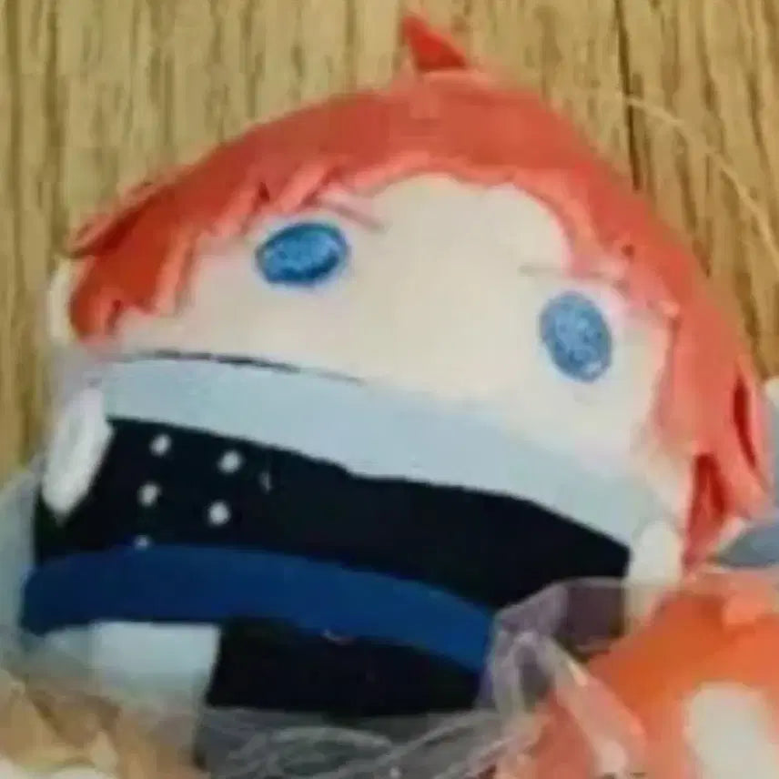 [BUNJANG] Kamui K-Pop Doll / 카무인형1