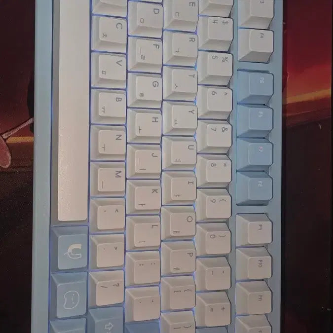 [BUNJANG] Arashi Tabi Keyboard Full Set Used / 아라하시 타비 키보드 풀세트 중고 팝니다