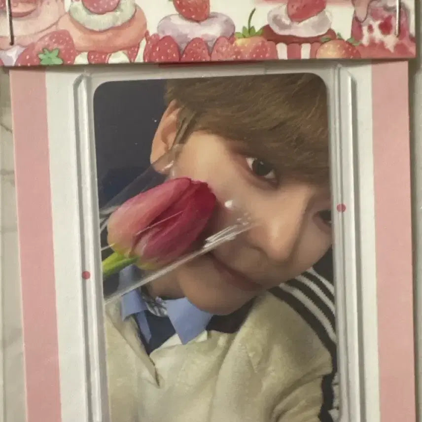 [BUNJANG] ALPHADRIVE1 Xinlong Tulip Version Makestar Lucky Draw Photocard / 알디원 씬롱 메이크스타  충칭 팬사인회 특전 튤립 포카