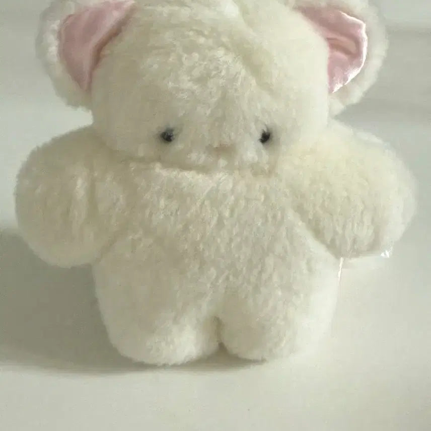 [BUNJANG] Fuwafuwamofumofu Japanese Artist Cat Plush / fuwafuwamofumofu 일본작가님 고양이 인형
