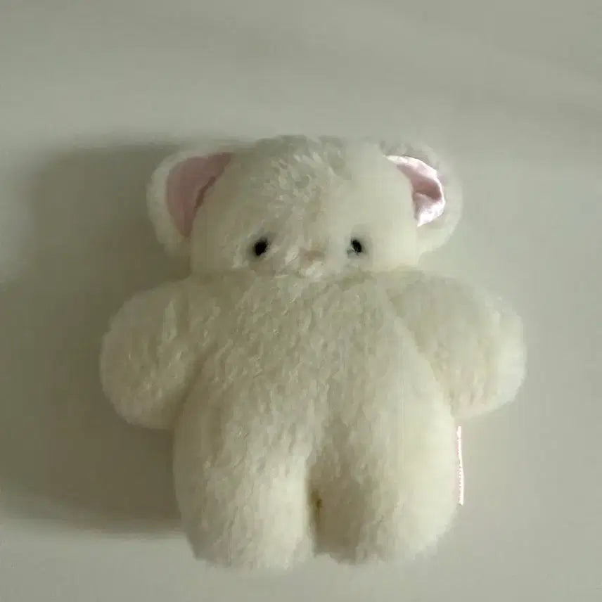 [BUNJANG] Fuwafuwamofumofu Japanese Artist Cat Plush / fuwafuwamofumofu 일본작가님 고양이 인형
