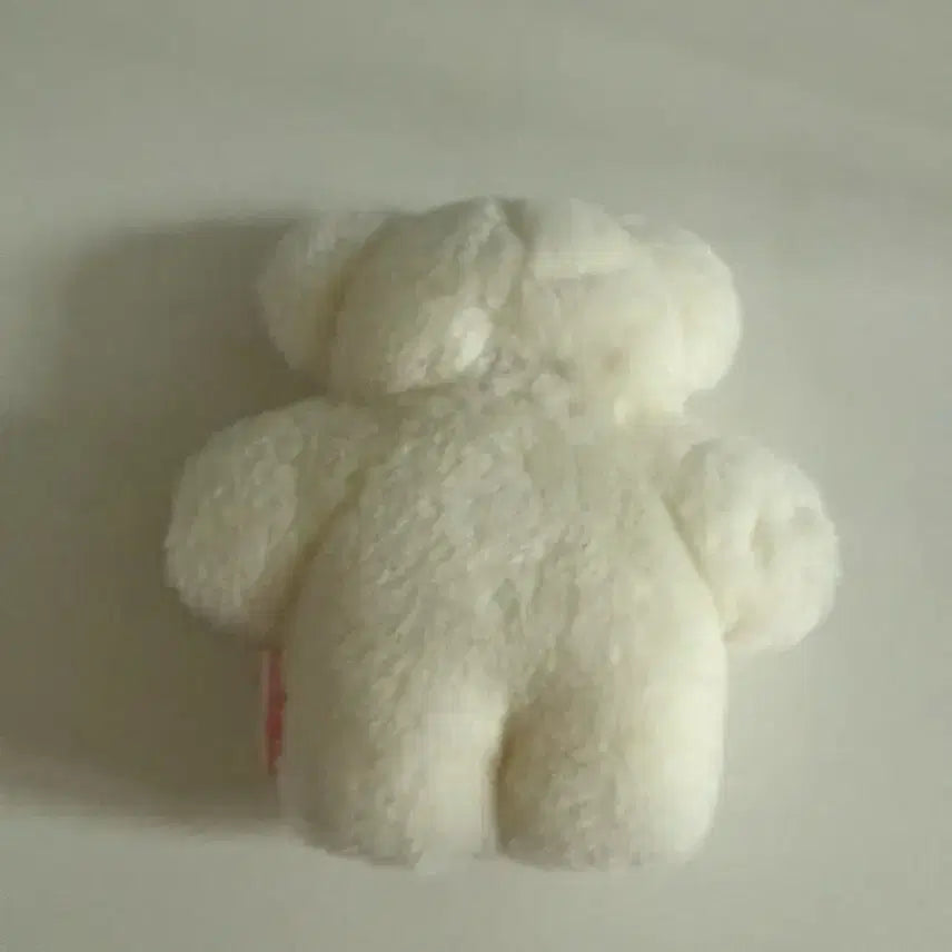 [BUNJANG] Fuwafuwamofumofu Japanese Artist Cat Plush / fuwafuwamofumofu 일본작가님 고양이 인형
