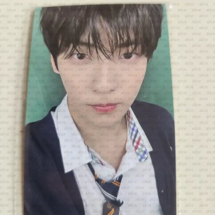 [BUNJANG] TXT Subin Apple Horn Bat Photocard / 수빈포카 사과뿔바투굿즈특전  용멍이 투바투 txt 투모로우바이투게더