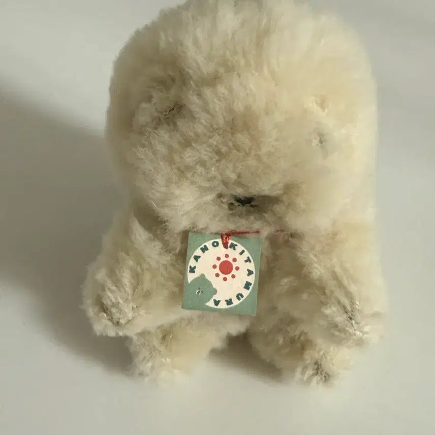 [BUNJANG] Kanokitamura Teddy Bear / 카노키타무라 일본작가님 테디베어