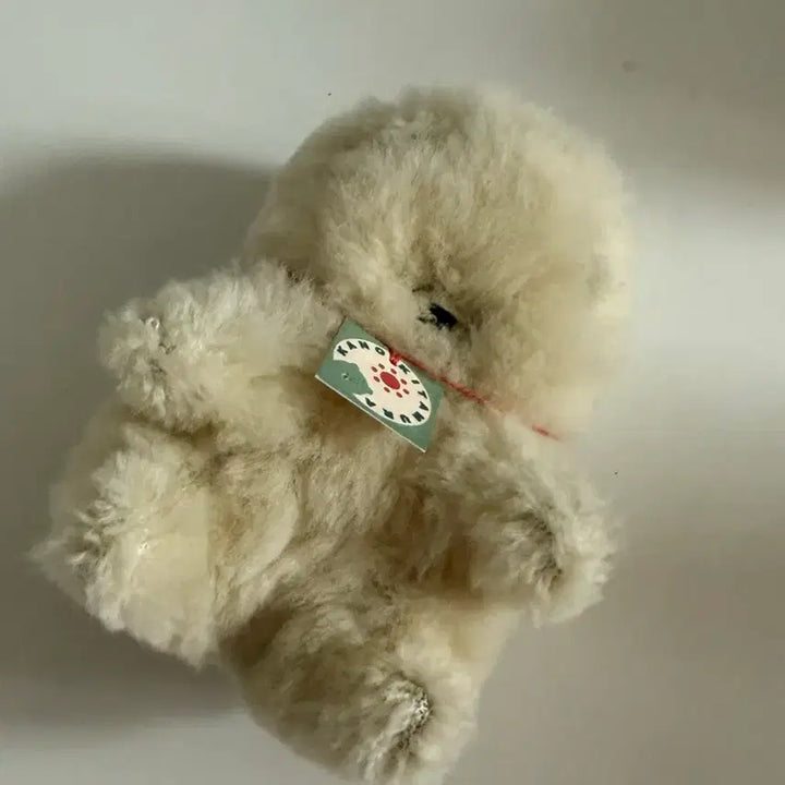 [BUNJANG] Kanokitamura Teddy Bear / 카노키타무라 일본작가님 테디베어