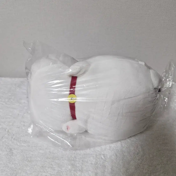 [BUNJANG] Banpresto Nyan-ko Sensei Plush / 일본정품 반프레스토 냥코센세 인형