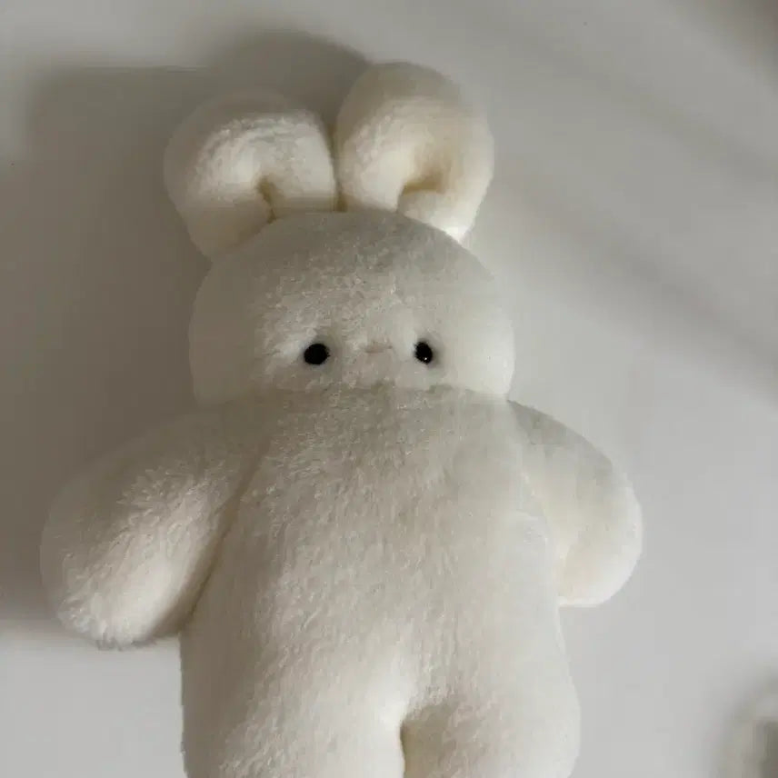 [BUNJANG] Fuwafuwa Mofumofu Rabbit Plush Doll by Japanese Artist / fuwafuwamofumofu 일본작가님 토끼인형