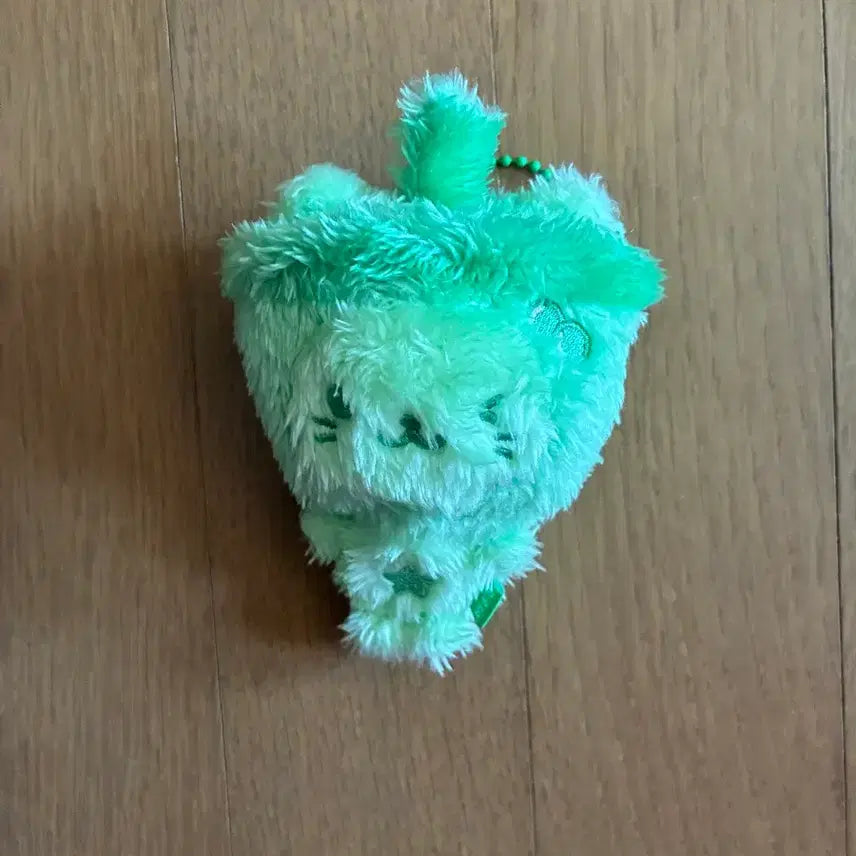 [BUNJANG] NCT Wish Green Bubble Nyan Acrylic Stand / 컬러위시돌 엔시티 위시 초록 버블냥 단순개봉 양도