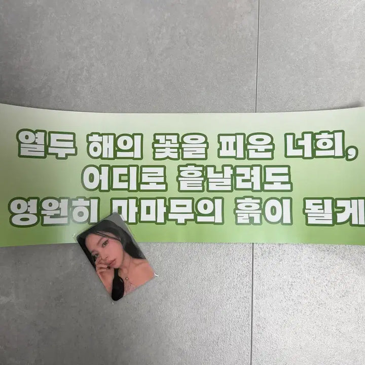 [BUNJANG] Mamamoo 2026 World Tour [4WARD] In Seoul Day 2 Entrance Photocard Bundle Set / 2026 마마무 콘서트 중콘 슬로건, 입장 포토카드 일괄 판매합니다