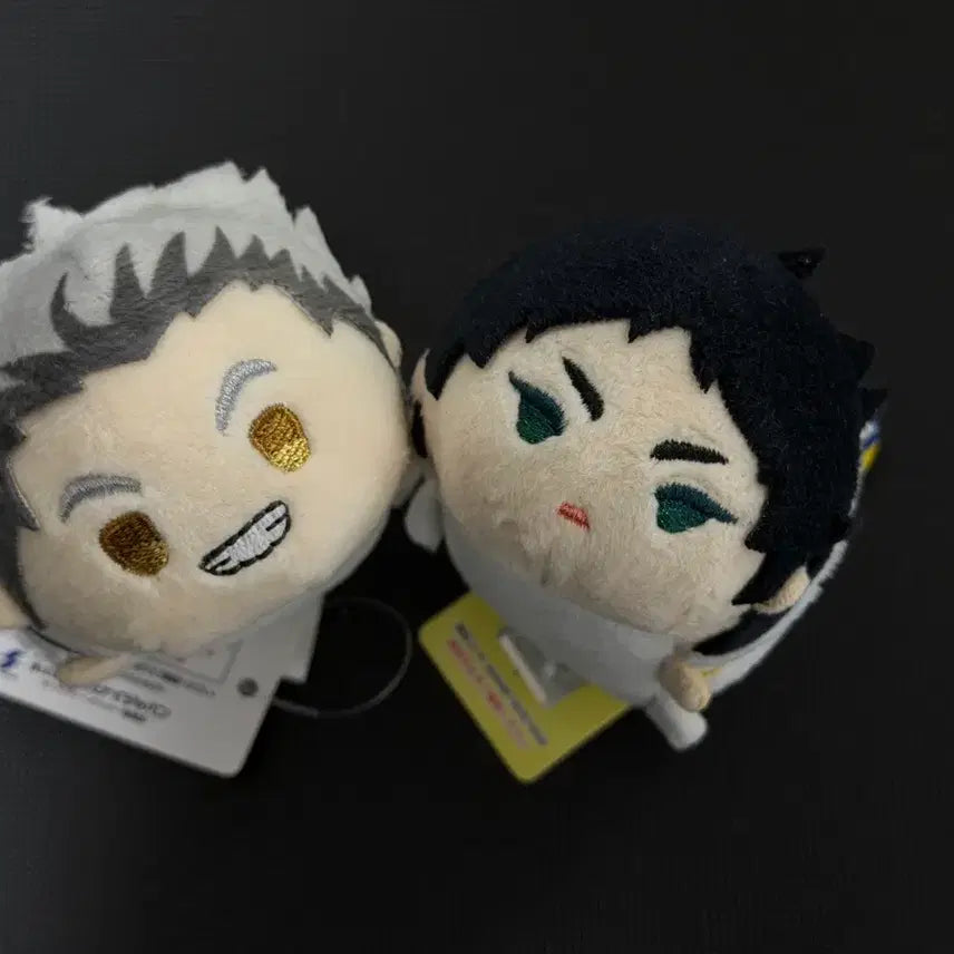 [BUNJANG] Haikyuu!! Bokuto Koutarou Akaashi Keiji Tsumu Tsumu Plush Doll Set / 하이큐 보쿠토 아카아시 노루캬라 쯔무쯔무 누이 인형