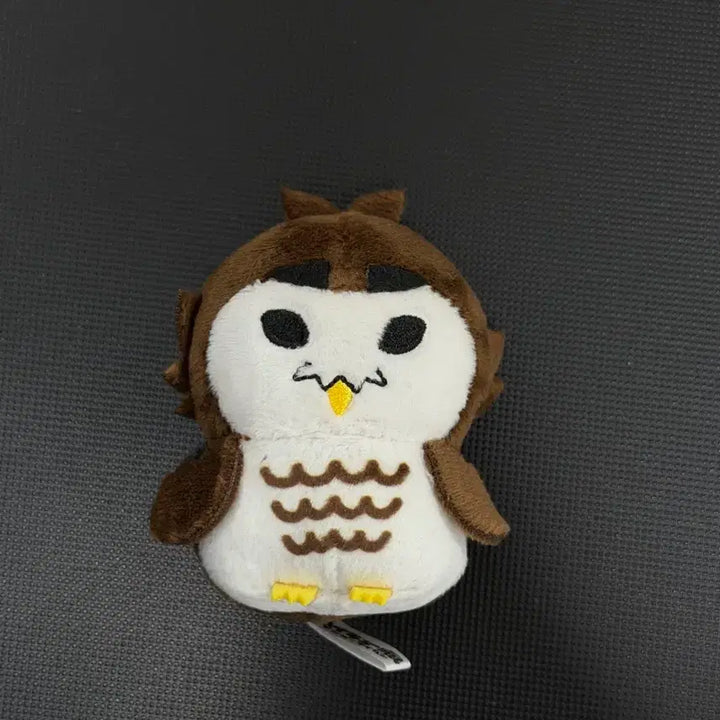 [BUNJANG] Haikyuu Akaashi Keiji Plush Doll / 하이큐 아카아시 아뺌이 누이 인형