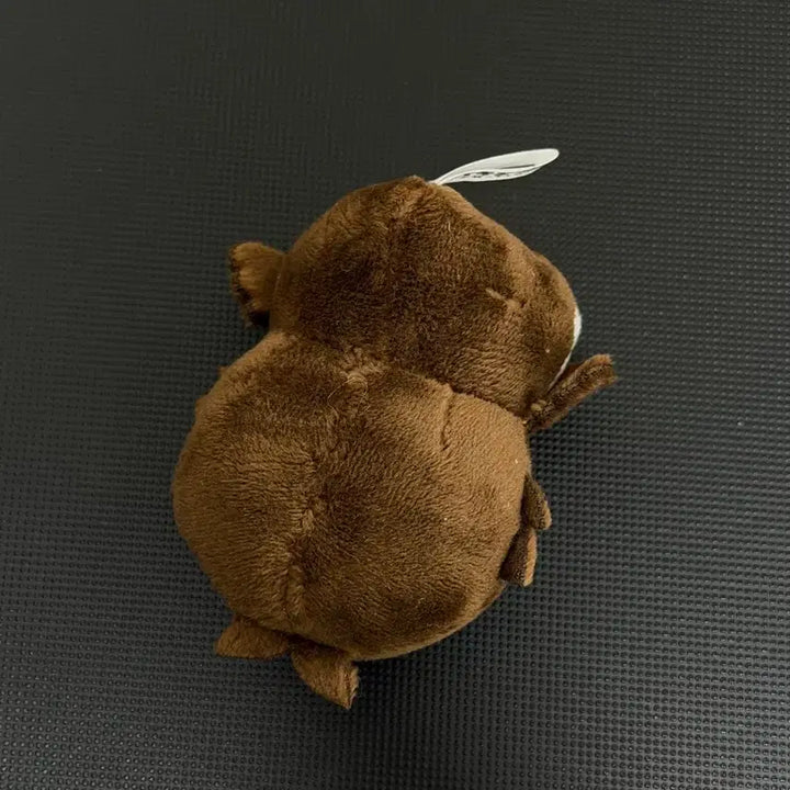 [BUNJANG] Haikyuu Akaashi Keiji Plush Doll / 하이큐 아카아시 아뺌이 누이 인형