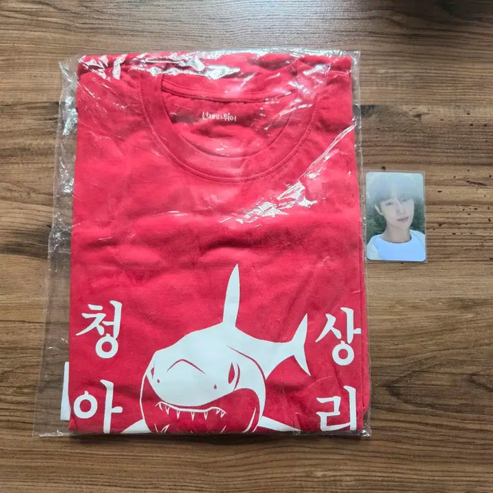 [BUNJANG] Byun Woo Seok Seon Jae Eop Seon Charismatic Tiger T-Shirt Photocard / (단순개봉/정가) 변우석 선업튀 청상아리 티셔츠 포카 21세기 대군부인