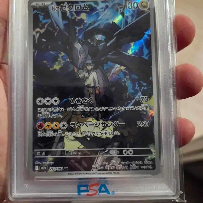 [BUNJANG] Pokemon Card N&