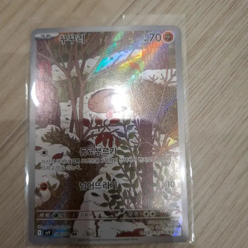 [BUNJANG] Pokemon Card Groudon AR / 포켓몬카드 꾸꾸리 ar