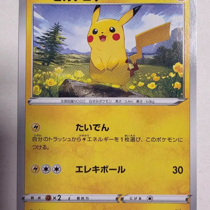 [BUNJANG] Pokemon Card Japanese Pikachu / 포켓몬카드 일판 피카츄 이브이히러로즈