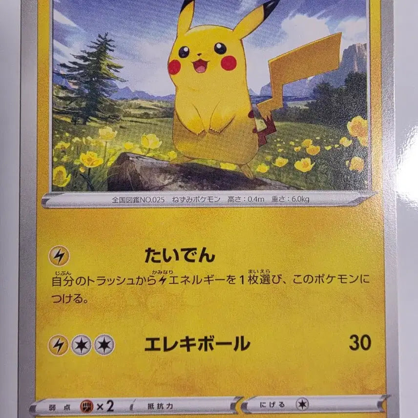 [BUNJANG] Pokemon Card Japanese Pikachu / 포켓몬카드 일판 피카츄 이브이히러로즈