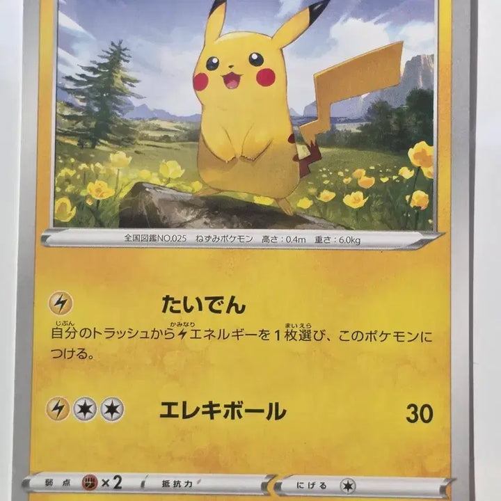 [BUNJANG] Pokemon Card Japanese Pikachu / 포켓몬카드 일판 피카츄 이브이히러로즈