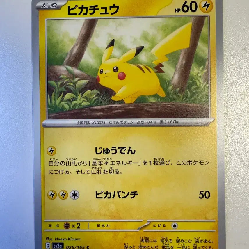 [BUNJANG] Pokémon Card Japanese Pikachu / 포켓몬카드 일판 피카츄