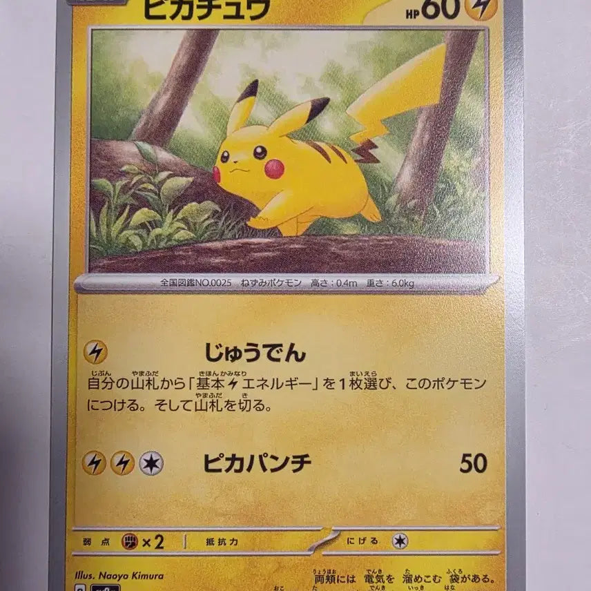 [BUNJANG] Pokémon Card Japanese Pikachu / 포켓몬카드 일판 피카츄