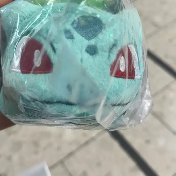 [BUNJANG] Pokemon 30th Anniversary Ichiban Kuji C Prize Generation 1 Bulbasaur Plush (Sealed) / (미개봉)포켓몬스터 30주년 제일복권 C상 1세대 이상해씨 인형