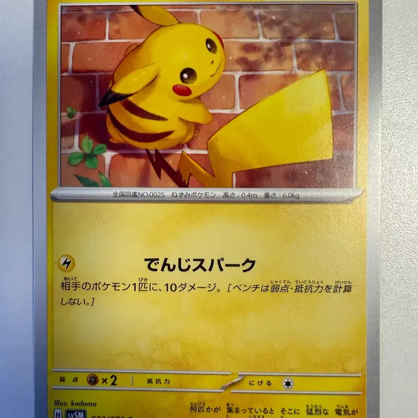 [BUNJANG] Pokemon Japanese Pikachu Card / 포켓몬카드 일판 피카츄