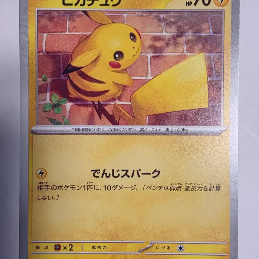 [BUNJANG] Pokemon Japanese Pikachu Card / 포켓몬카드 일판 피카츄