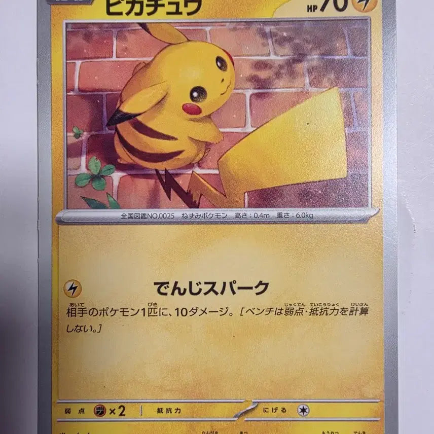 [BUNJANG] Pokemon Japanese Pikachu Card / 포켓몬카드 일판 피카츄