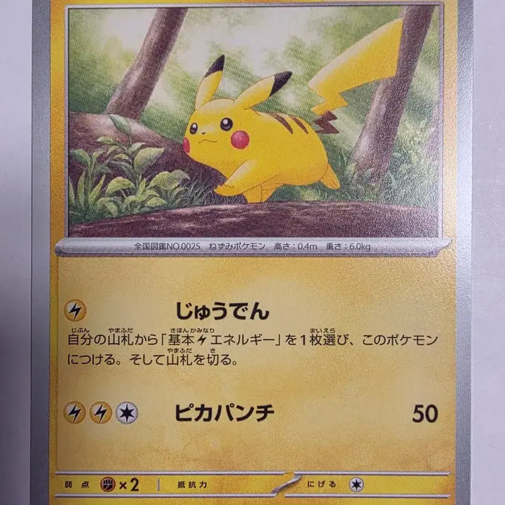 [BUNJANG] Pokemon Card Pikachu Japanese Version / 포켓몬카드 일판 피카츄