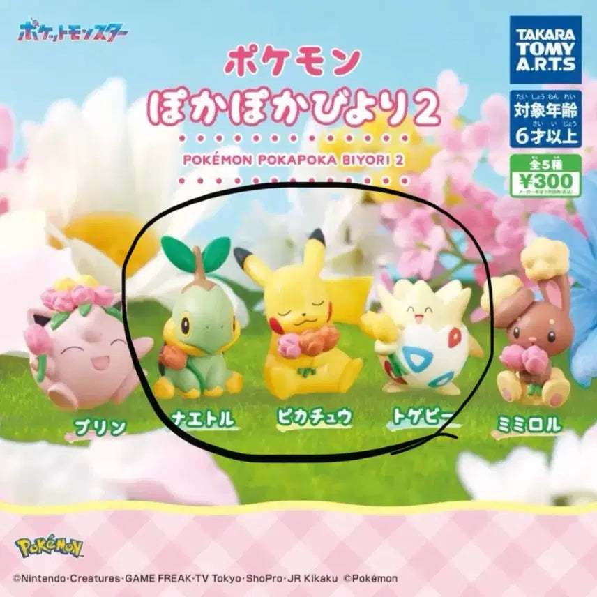 [BUNJANG] Pokemon Pokapoka Biyori Gacha Figures / 포켓몬 포카포카 비요리, 따뜻한 날씨 가챠
